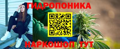 гидропоника Кунгур