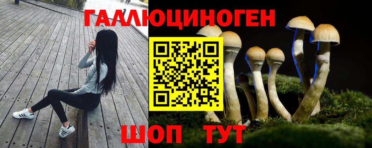 Ульяновск  Псилоцибиновые грибы Cubensis  Вход с VPN 